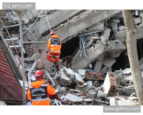 土耳其持续地震引发赌球调查新进展教练将成为调查重点