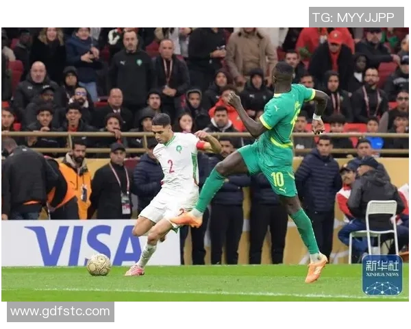 摩洛哥夺非洲杯概率领先塞内加尔赔率分析揭示竞争态势